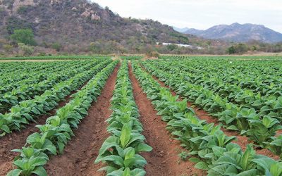 New Land Tenure System To Benefit Indigenous People
