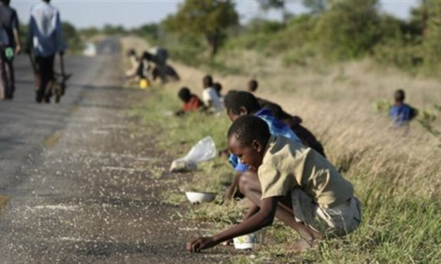 ZANU PF’s Revolutionary Approach to Drought Relief: A Party for the People… and Their Relatives”