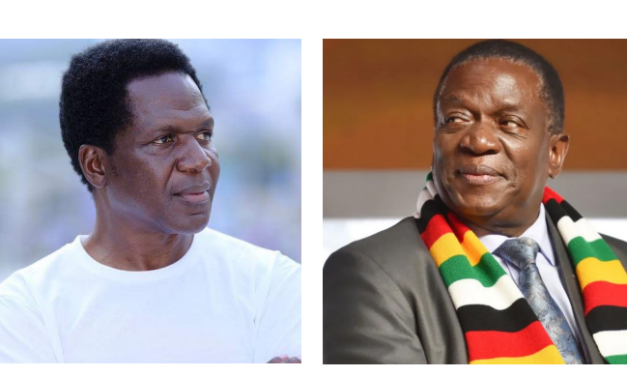 Clive Malunga vs. Mnangagwa: ‘2028 or Bust’ Amid Zanu PF’s Power Struggles