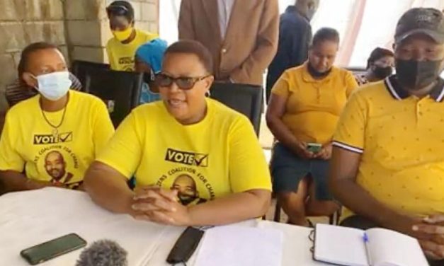 Tshabangu, Khupe, and the CCC: The Unsung Heroes of Zimbabwe’s Political Renaissance