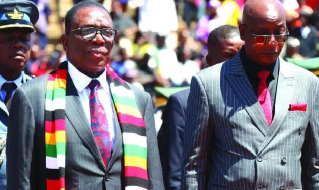 Suffering Citizens Behind 2030 Agenda, Says Minister Ziyambi