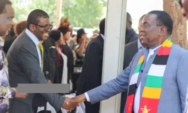 Mnangagwa’s 2030 Masterstroke:How the Opposition’s New Role as ‘Watchdog’ is a Total Game-Changer
