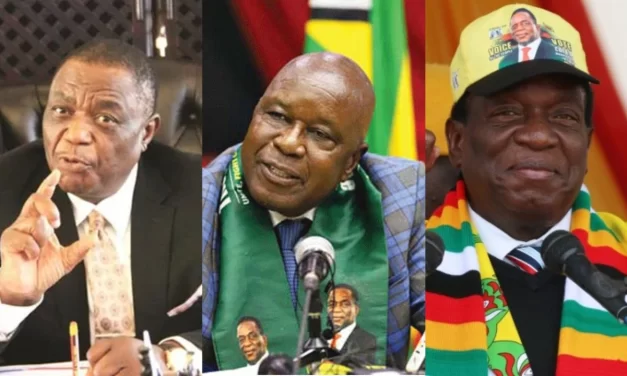 Mutsvangwa Swims Chiwenga to the Coast