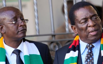 It’s A-looter Continua As Ziyambi Says 2030 Done & Dusted