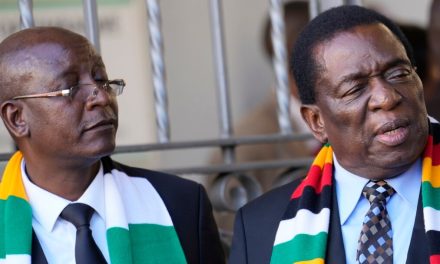 It’s A-looter Continua As Ziyambi Says 2030 Done & Dusted