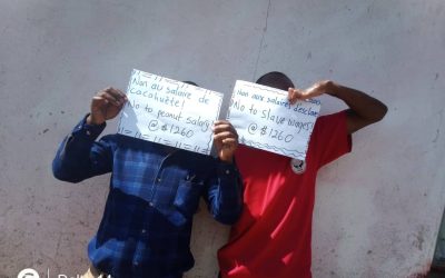 Teachers, Parents, Learners Give Mnangagwa Govt an ‘F’