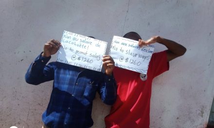 Teachers, Parents, Learners Give Mnangagwa Govt an ‘F’