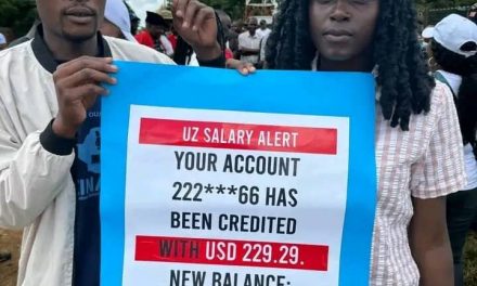 UZ Lecturers Strike: When PhDs Earn Less Than Chivhayo’s Spare Socks