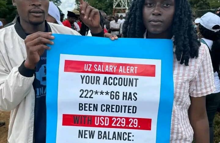 UZ Lecturers Strike: When PhDs Earn Less Than Chivhayo’s Spare Socks