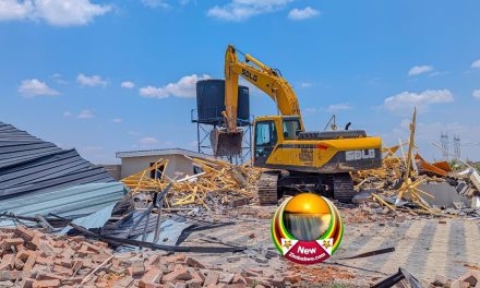 In ZANU PF We Voted—Now Let There Be Demolitions