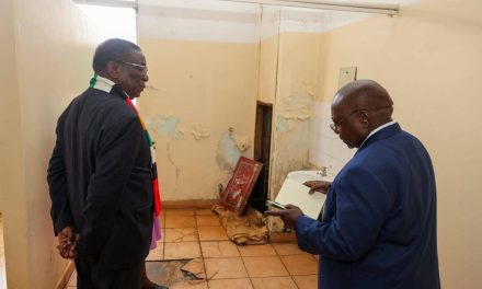 Mnangagwa’s Hospitals Tour Unlocks US Half a Billion for Chivayo