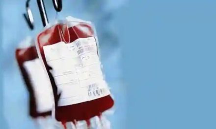 How NBSZ Became Zimbabwe’s Most Thrilling Bloodsucking Enterprise