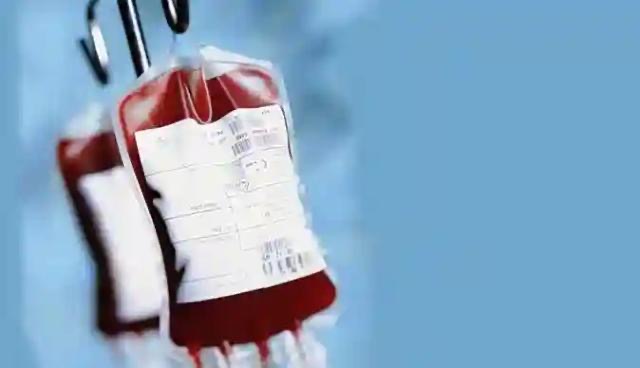 How NBSZ Became Zimbabwe’s Most Thrilling Bloodsucking Enterprise