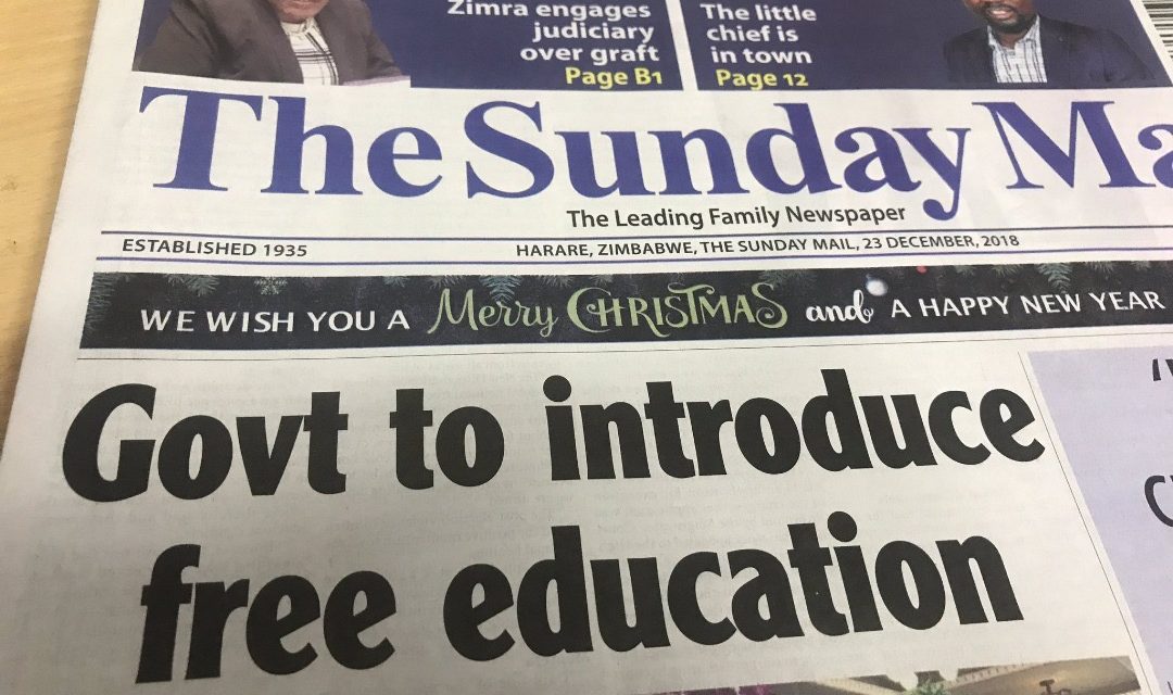 Education Activist Sauriri Arrested for Reminding Mnangagwa About His Free Education Promise
