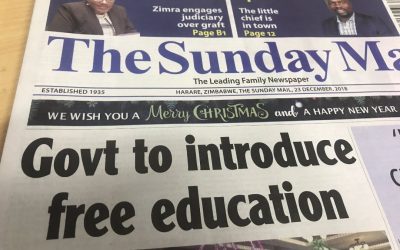 Education Activist Sauriri Arrested for Reminding Mnangagwa About His Free Education Promise