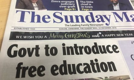 Education Activist Sauriri Arrested for Reminding Mnangagwa About His Free Education Promise