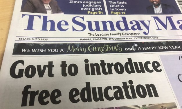 Education Activist Sauriri Arrested for Reminding Mnangagwa About His Free Education Promise