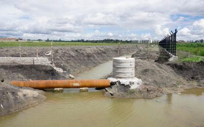 Wetlands Drown in Promises, Rise in Concrete
