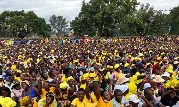 Unmasking Zim’s False Change and the Myth of the Political Messiah