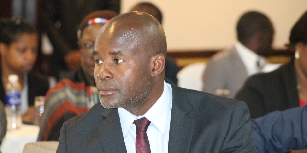 Mliswa Unmasked — The Bull That Lost Its Horns