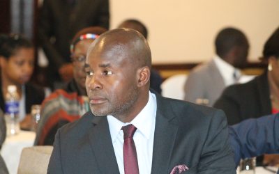 Mliswa Unmasked — The Bull That Lost Its Horns