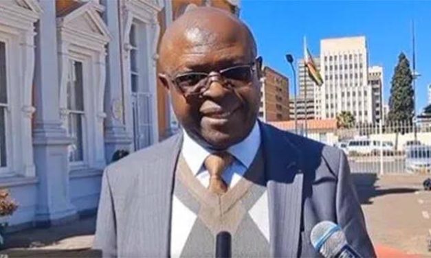 A Toothless Bulldog with a Fancy Collar —ZACC Develops Cold Feet on Chivhayo