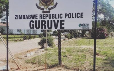 Five Killed in Guruve Family Massacre — Guruve Pays the Price for Ignored Mental Health