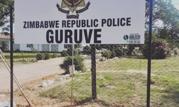 Five Killed in Guruve Family Massacre — Guruve Pays the Price for Ignored Mental Health