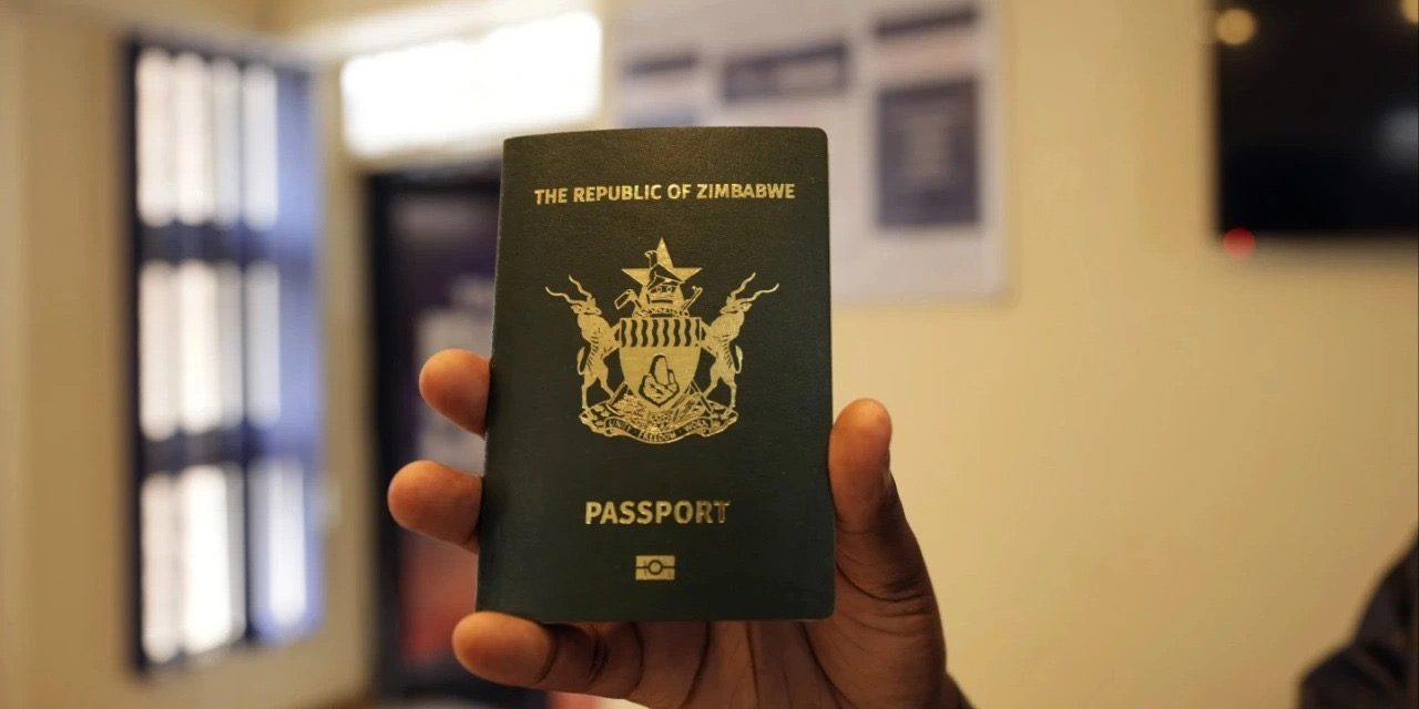 Govt Says ZiG Better Than USD, Except When Paying Duty and Passport