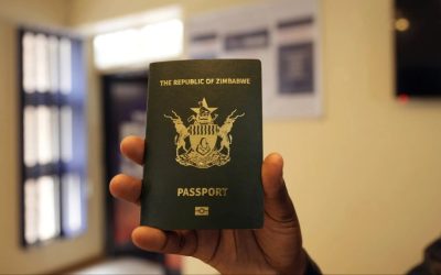 Govt Says ZiG Better Than USD, Except When Paying Duty and Passport