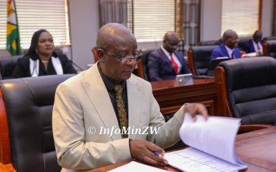 Ziyambi’s Constitutional Amendment: The Elite’s Final Assault on the People’s Constitution