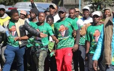 Above the Law — ZANU PF Youths Show the High Court a Middle Finger